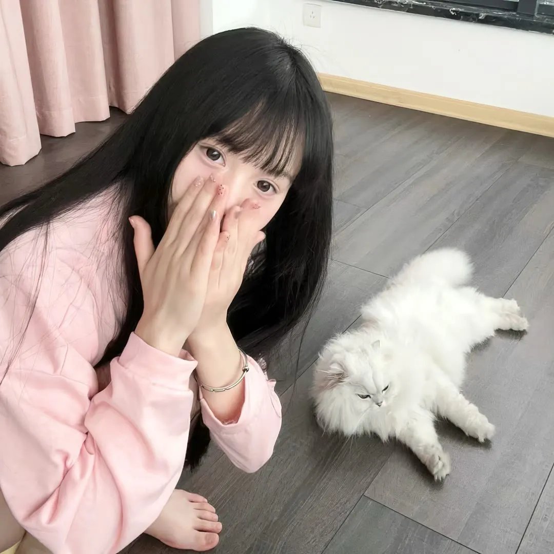 功夫熊猫4