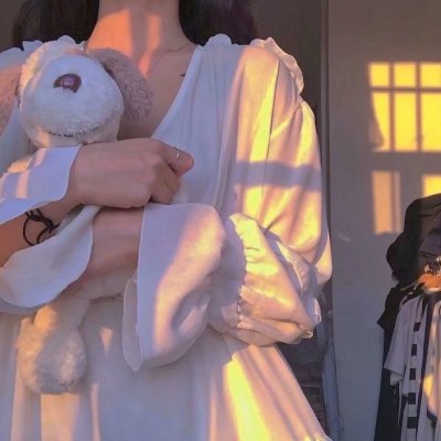 蝙蝠侠：哥谭骑士